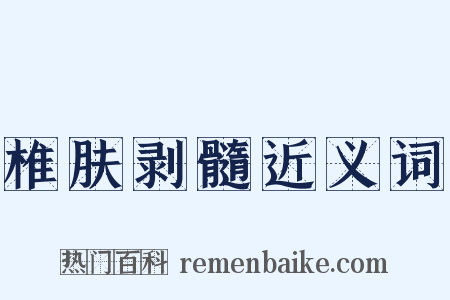 椎肤剥髓近义词是什么意思的图片